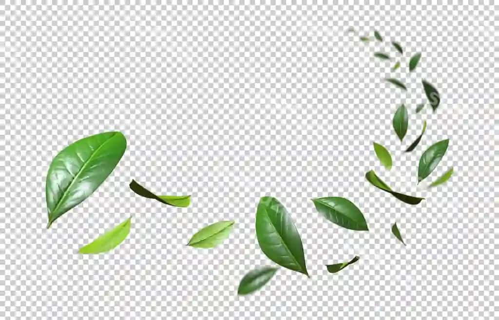 Shaffof fonda spiralka harakatlanadigan kesilgan varaqlar | Cutout leafs flying spiral movement motion transparent backgrounds