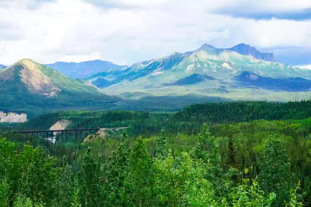 Denali qo'riqxonasining yashil o'rmonlari fonida tog'larning havodan ko'rinishidagi temir yo'l | Aerial view mountains railway track against green forests denali nature preserve