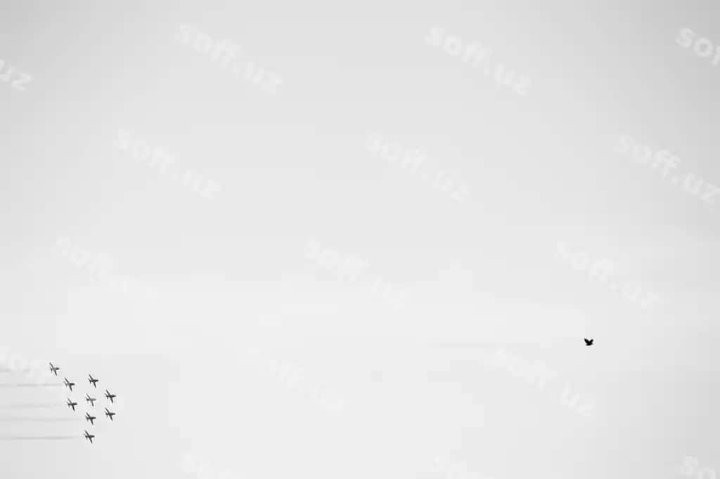 Pastdagi burchakdan qushlar va samolyotlar anqaranggi osmon orqali uchish. | Low angle view birds planes flying against clear sky
