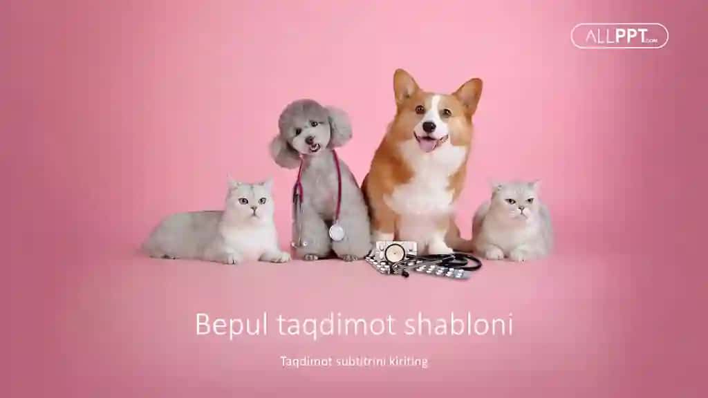 Veterinariya Xizmatlari va Hayvonlar Salomatligi Taqdimoti (48 Slayd)