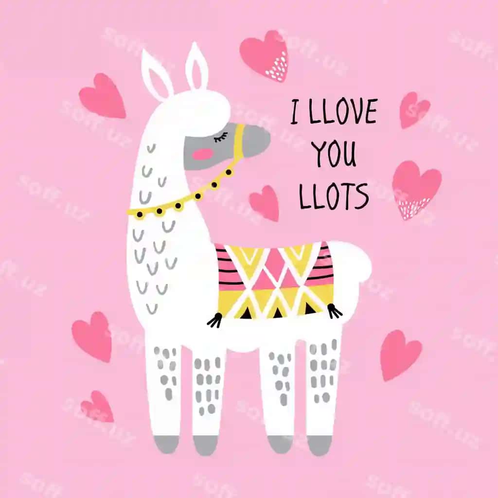 Chiroyli lama va muhabbat | Cute llama n love