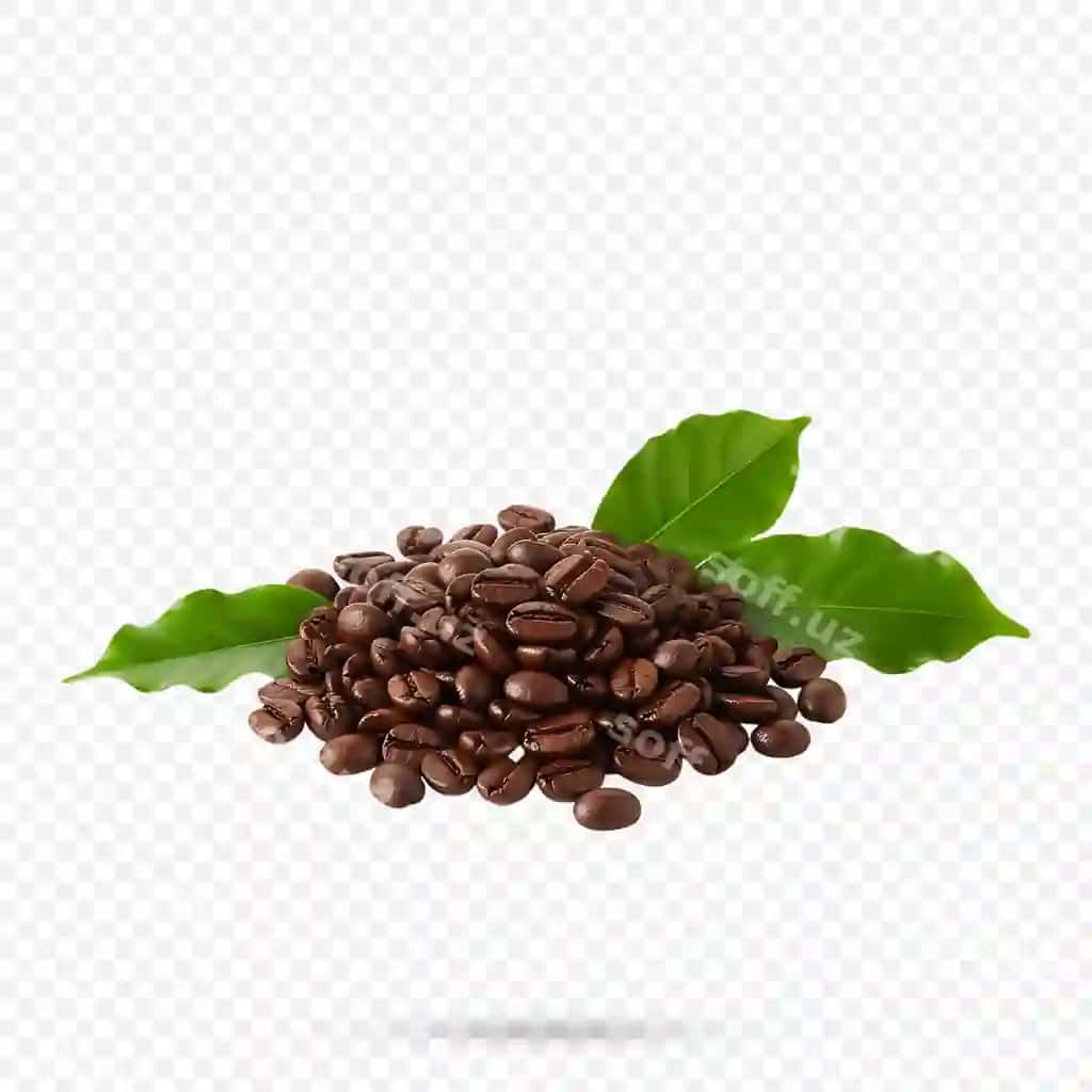 Qovurilgan kofe bobsiz yangi yashil varaq bilan | Roasted coffee beans with fresh green leaves