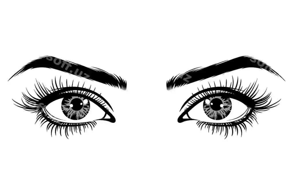 Go'zal ayollar ko'zlari katta qirq va ko'z qizarti bilan vektor illustratsiyasi | Beautiful female eyes with big lashes eyebrows vector illustration
