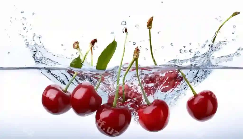 Gilas chaqa suvi so'z gilas pastki | Cherries are bowl water with word cherry bottom