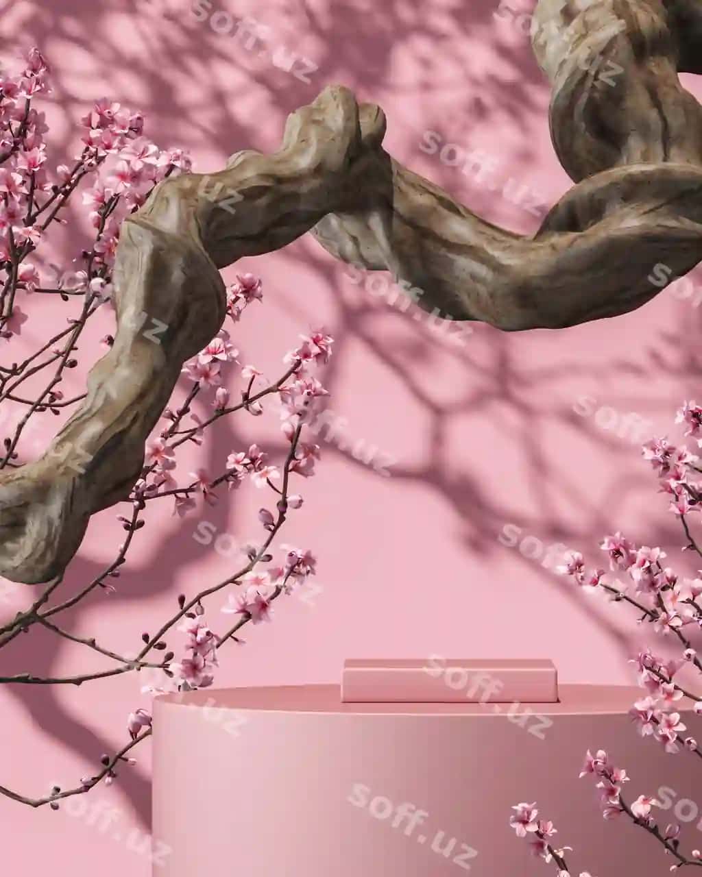 Pushti platforma shoxi sakura daraxti fonida quyoshdan himoya qiluvchi soyabon, soyali devor | Pink platform branch sakura tree background sunshade shadow wall