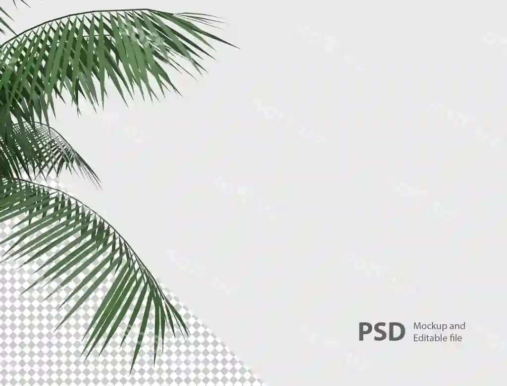 Yaqin suratdagi o'simlik ajraltirilgan | Close up plant isolated