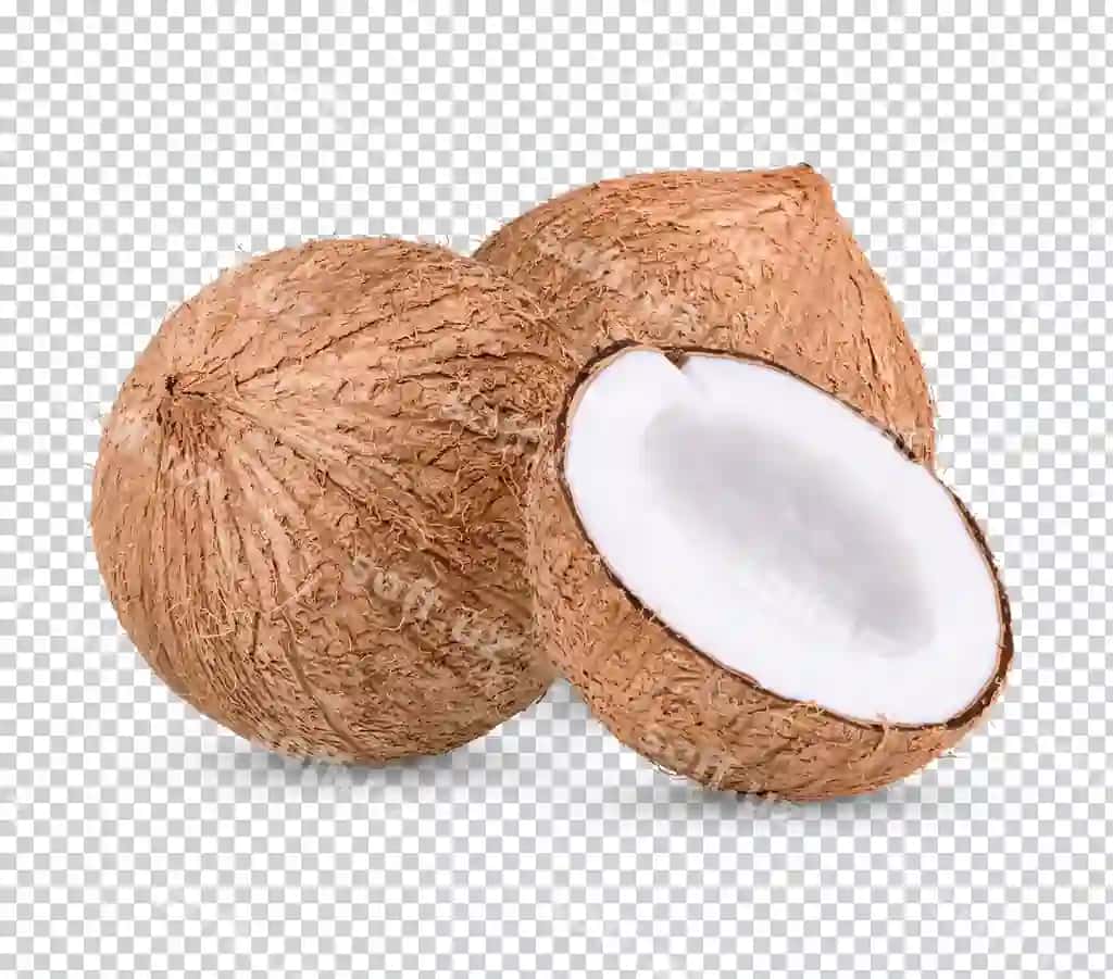 Kokos ajralgan | Coconut isolated