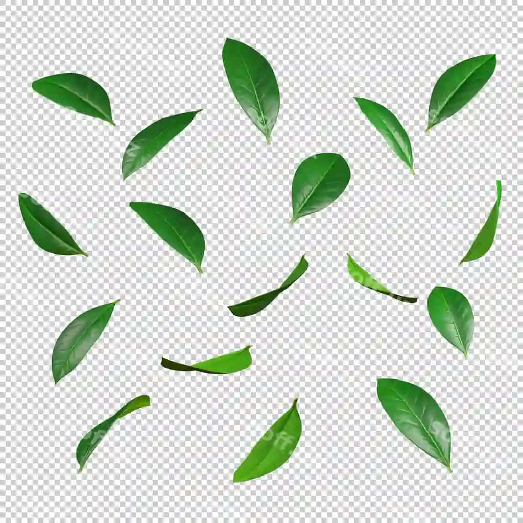 Yashil varaq harakat tushish oqim 3d render illustratsiya orqa fonda | Green leaves movement falling flow 3d rendering illustration background