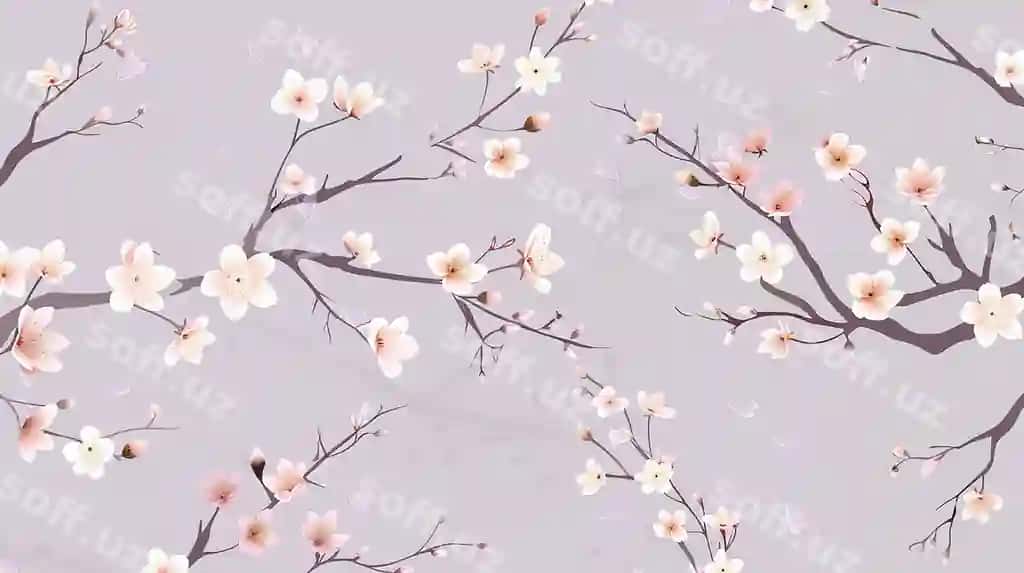 Gilos mevasi foni | Cherry blossom background