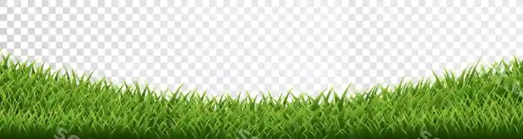 Yashil chaman chegara to'plami shaffof orqa fonda | Green grass border set transparent background