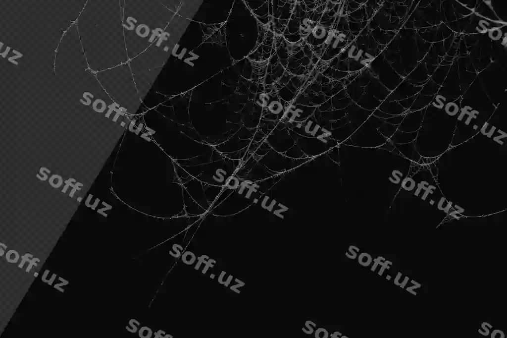 Fotorealistik chimyon tarmogi | Photorealistic cobweb