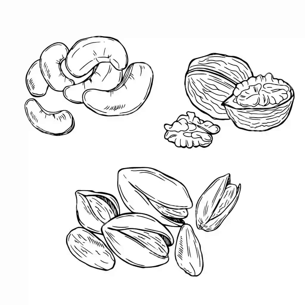 Yer panatlari to'plami ajraltirilgan oq fonda kashew uzi pistachio | Nuts collection isolated white background cashew walnut pistachio
