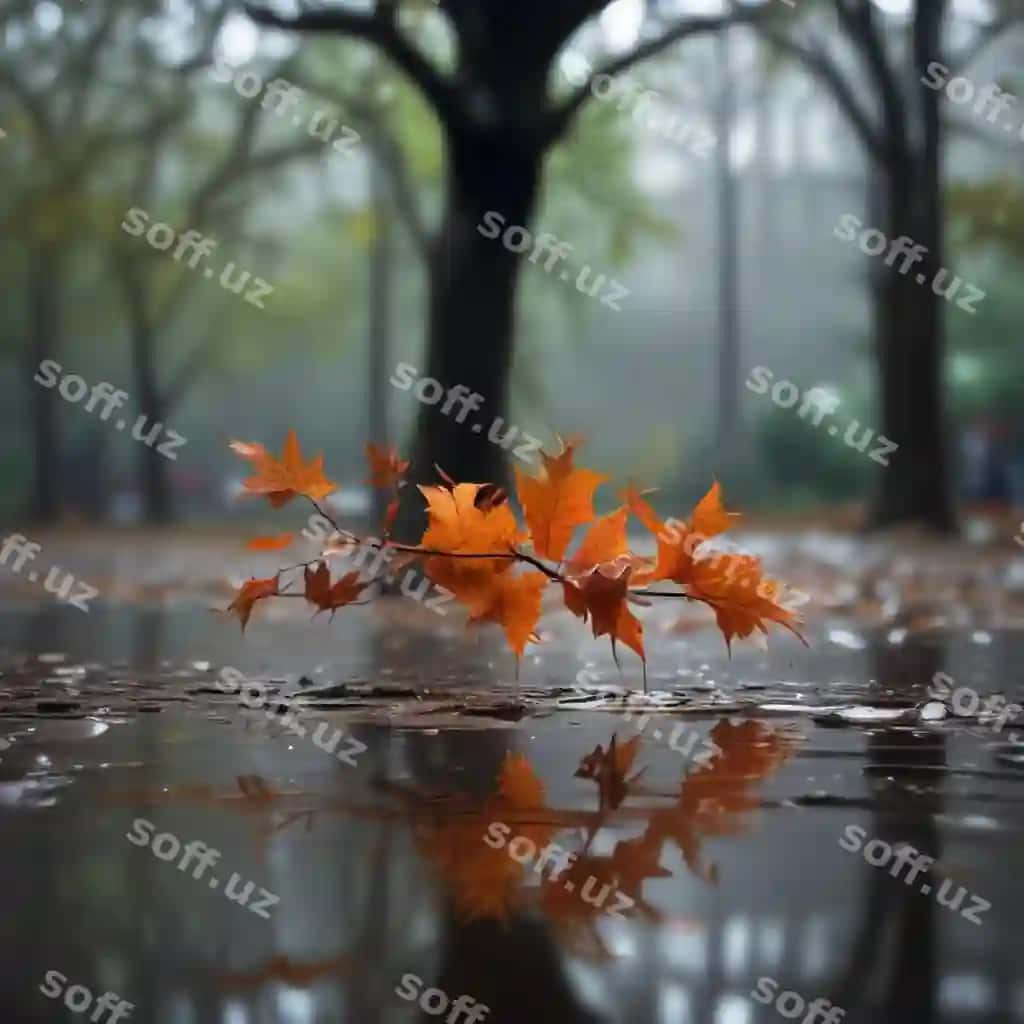 Daraxt tutuqi loza suvda aks etadi. | Tree branch is reflected puddle water
