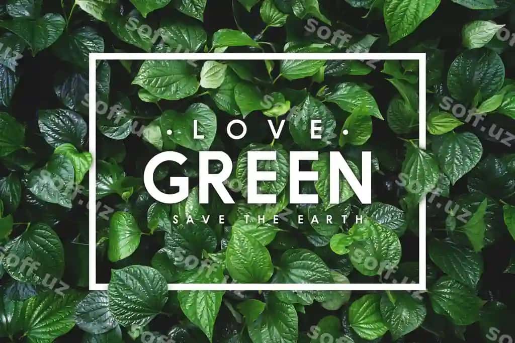Sevgi yer tushunchasi yashil varaq orqa fon | Love earth concept green leaf background