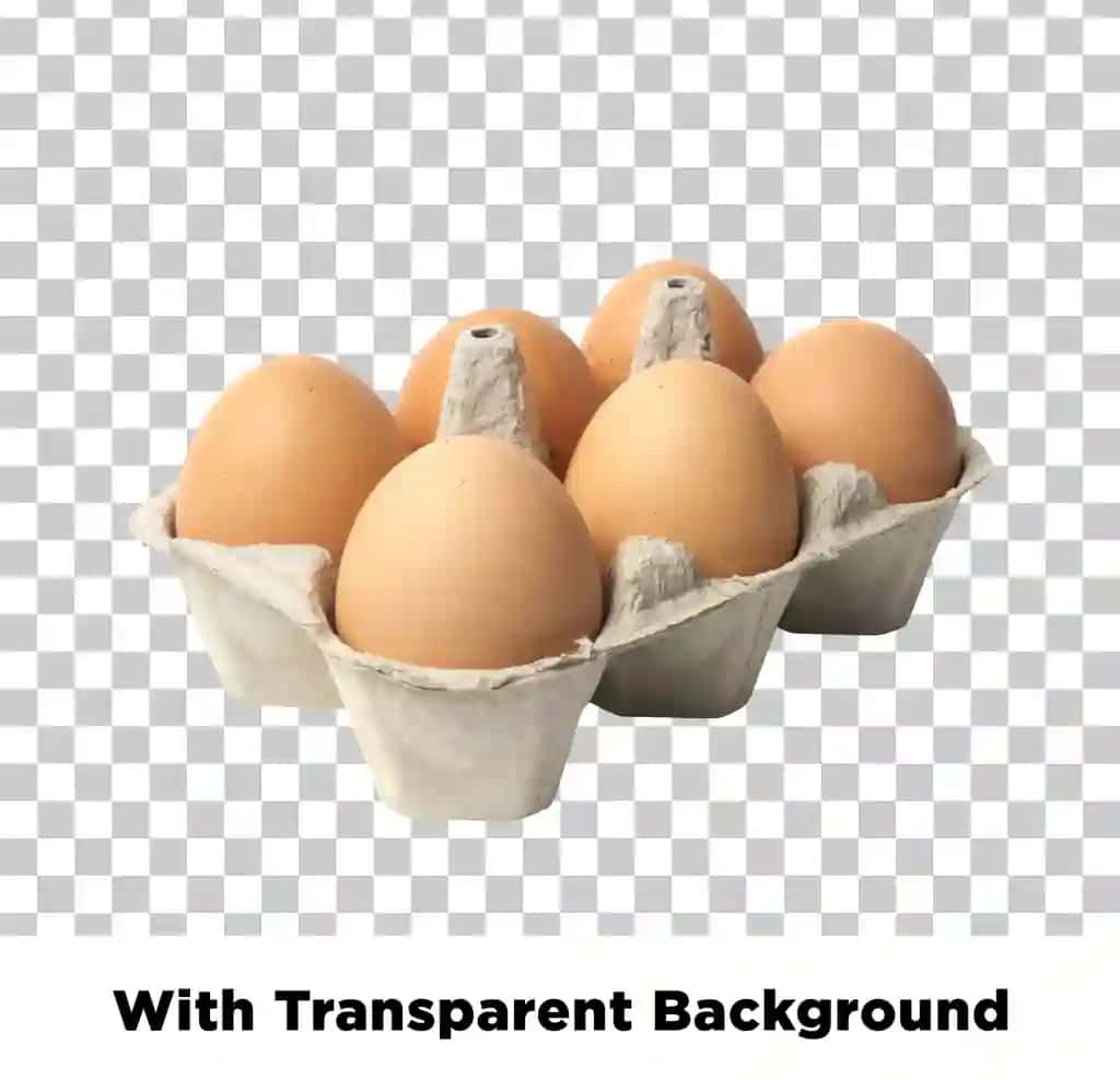 Shaffof fon bilan tuxum karton | Eggs carton with transparent background