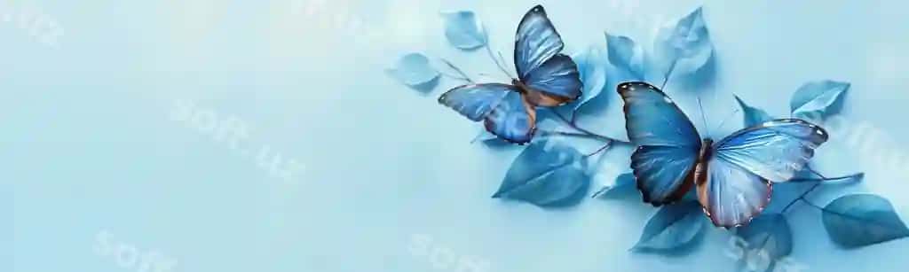 Ko'k parasutlar nozik varaq ustida dam olmoq, ko'k orqa fon nusha joyi bilan | Blue butterflies resting delicate leaves blue background with copy space