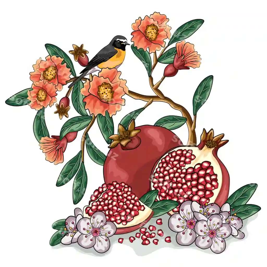 Pomegranat karykatura vektor ilustratsiyasi ekzotik meva gullar bilan | Pomegranate cartoon vector illustration exotic fruit with flowers