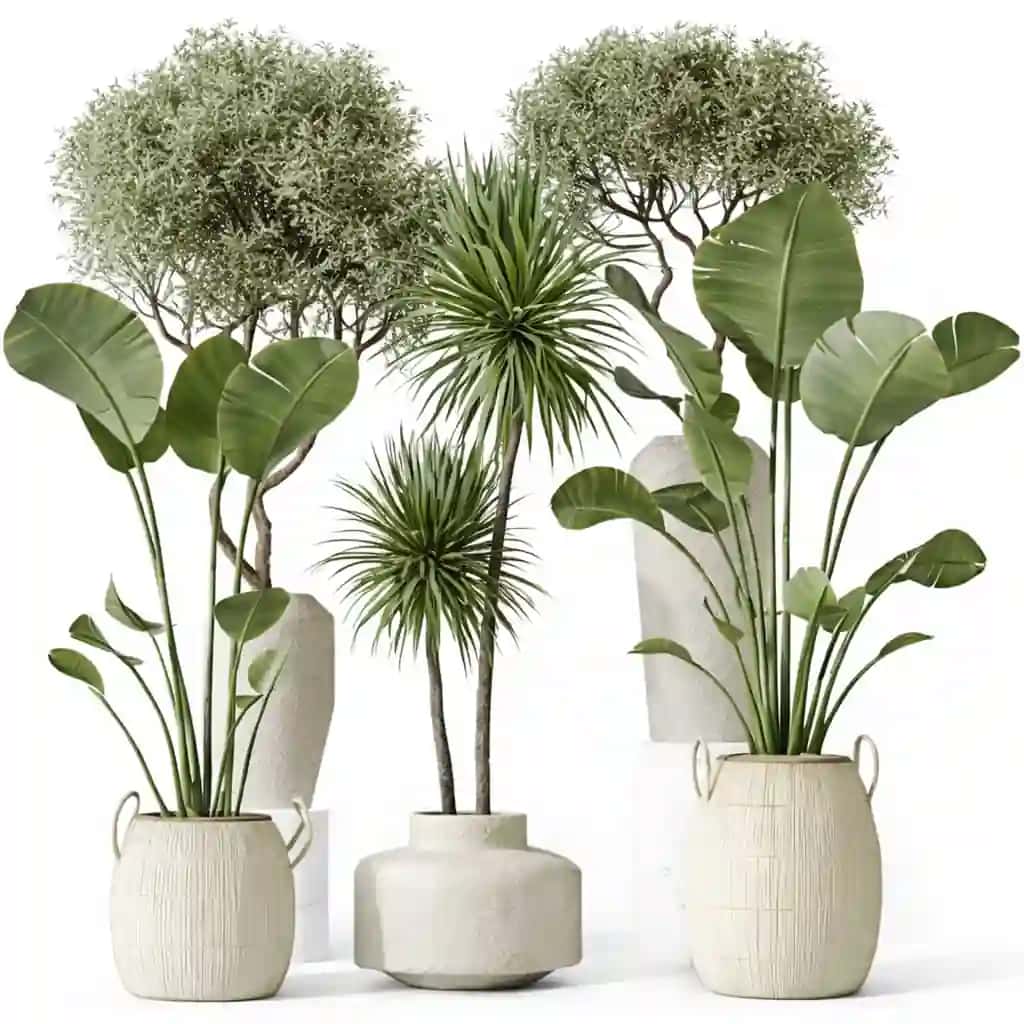 O'simliklar plants