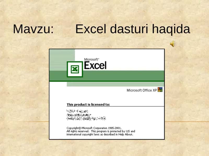 Excel dasturi