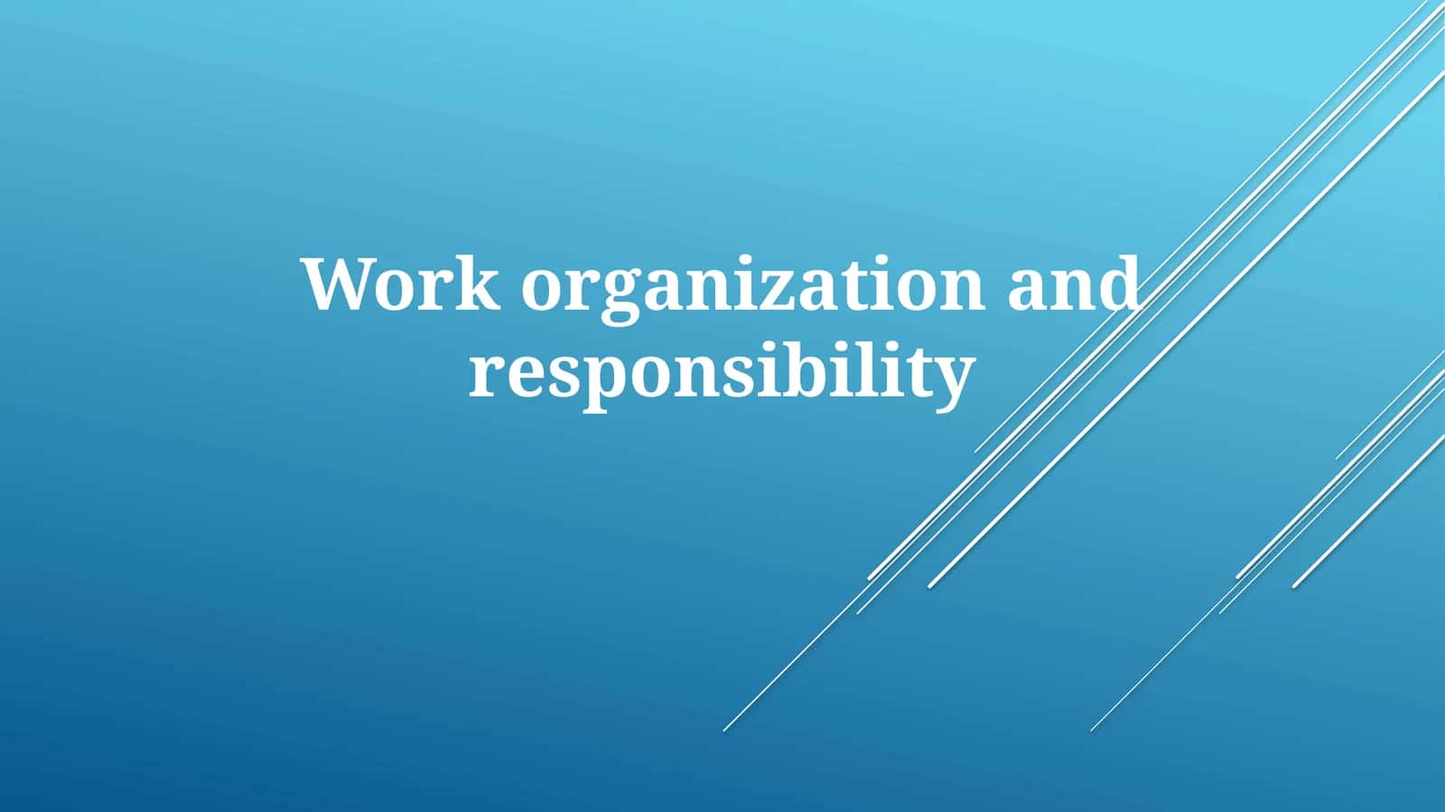 Work Organization And Responsibility