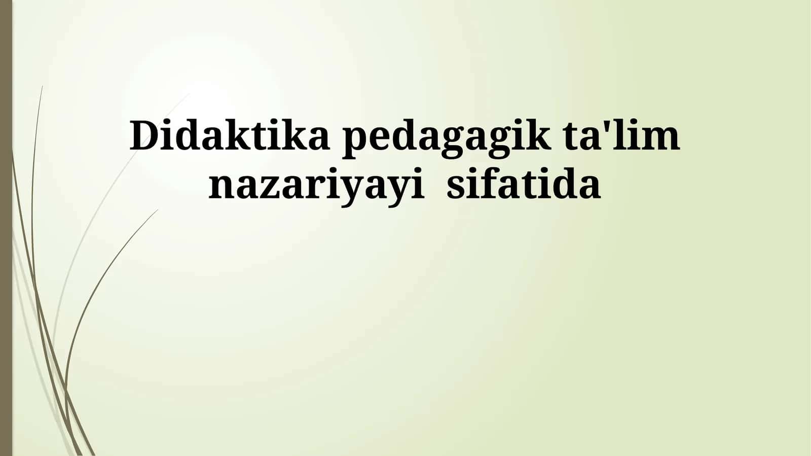 Didaktika pedagagik ta'lim nazariyayi sifatida