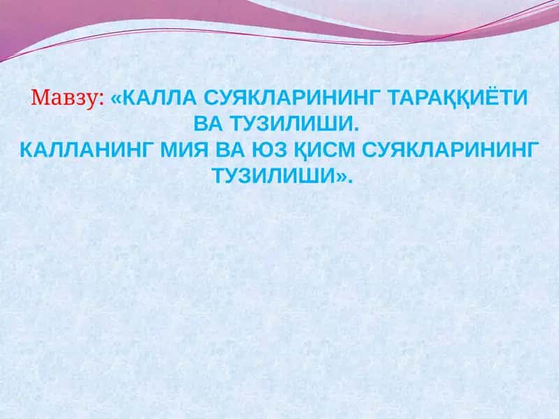 КАЛЛА СУЯКЛАРИНИНГ ТАРАҚҚИЁТИ ВА ТУЗИЛИШИ