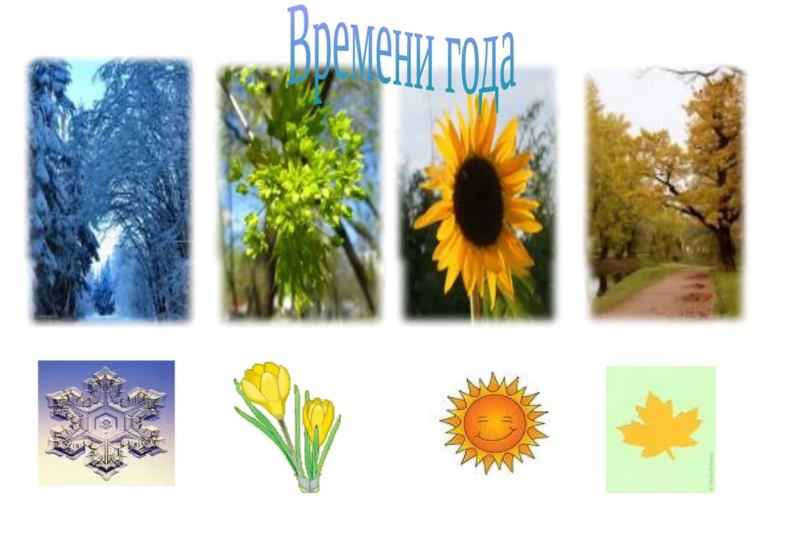Photo collection of seasons and nature