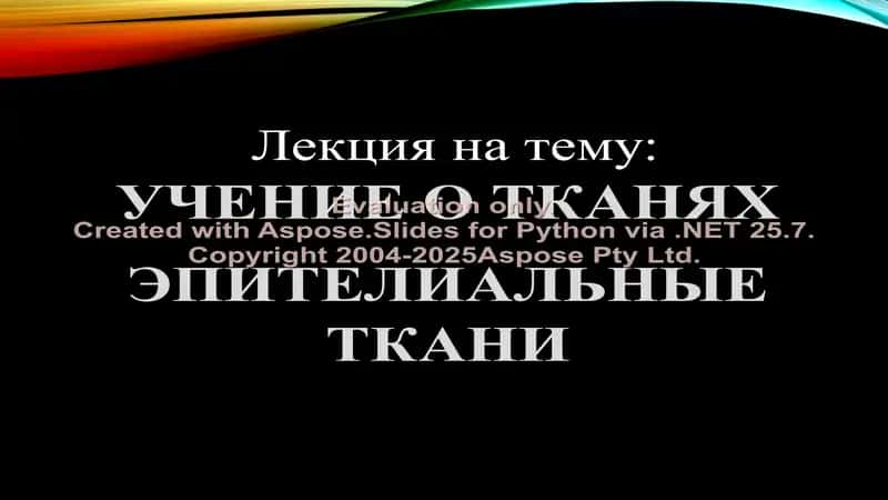 ЭПИТЕЛИАЛЬНЫЕ ТКАНИ
