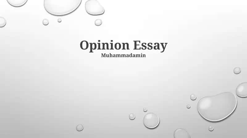 Opinion Essay