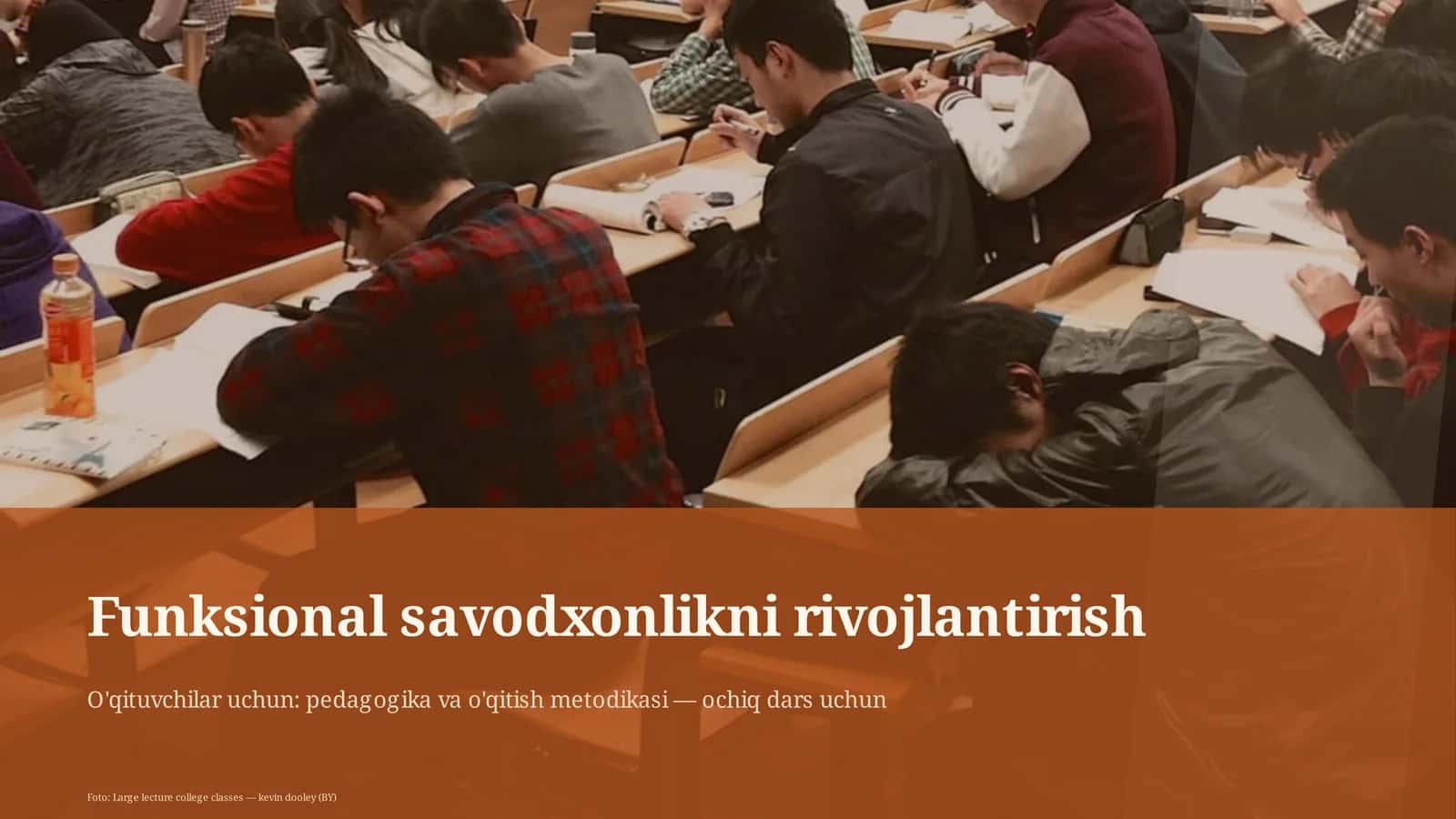 Funksional savodxonlikni rivojlantirish