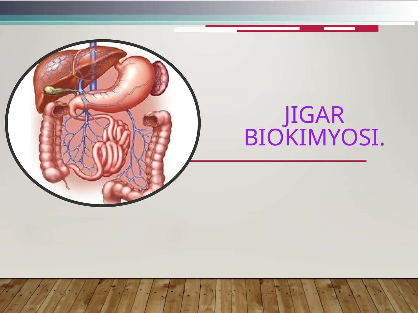 JIGAR biokimyosi