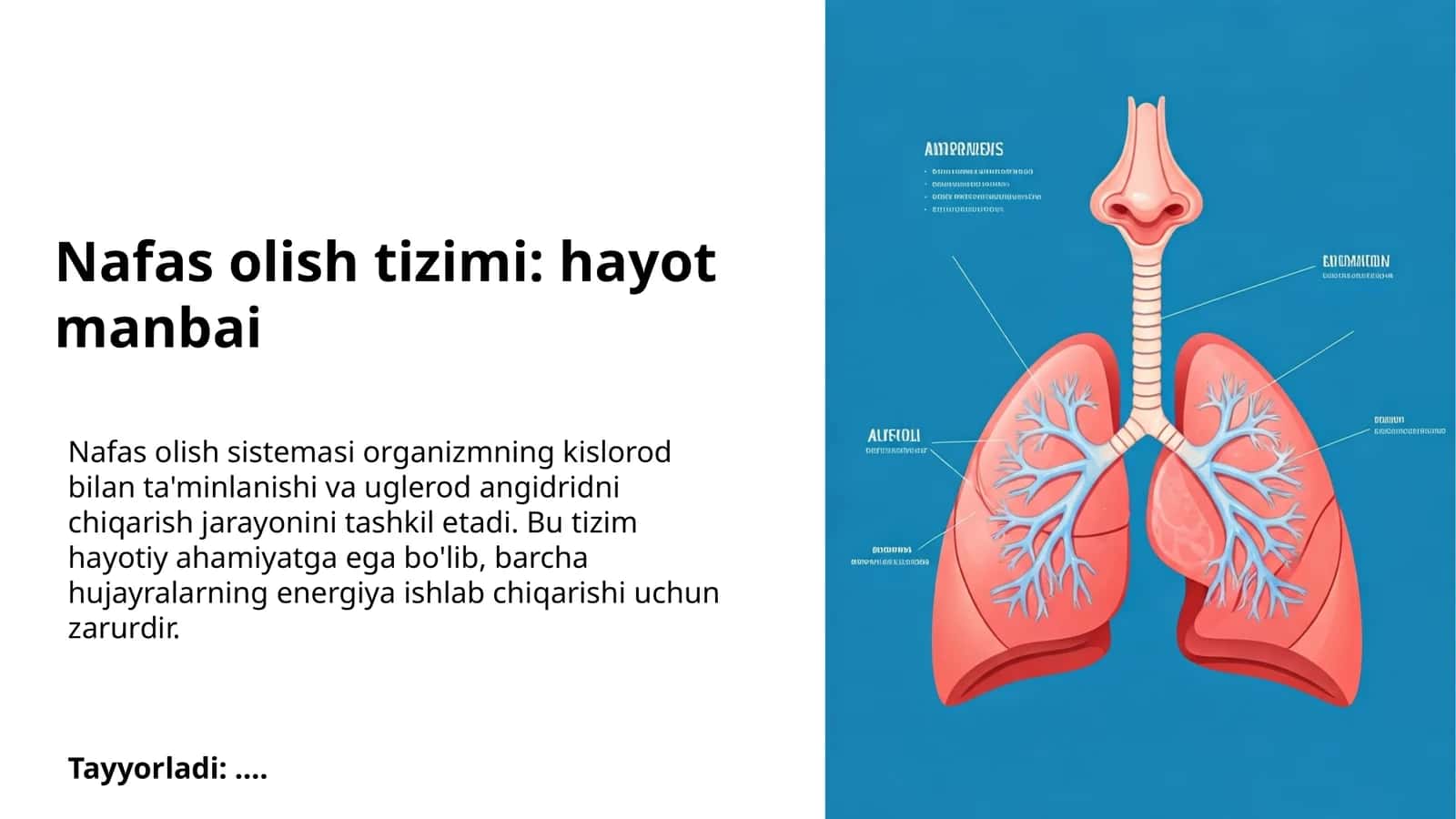 Nafas olish tizimi: hayot manbai