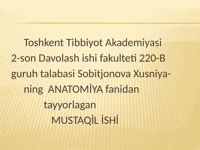 Бош мия пўстлоғи