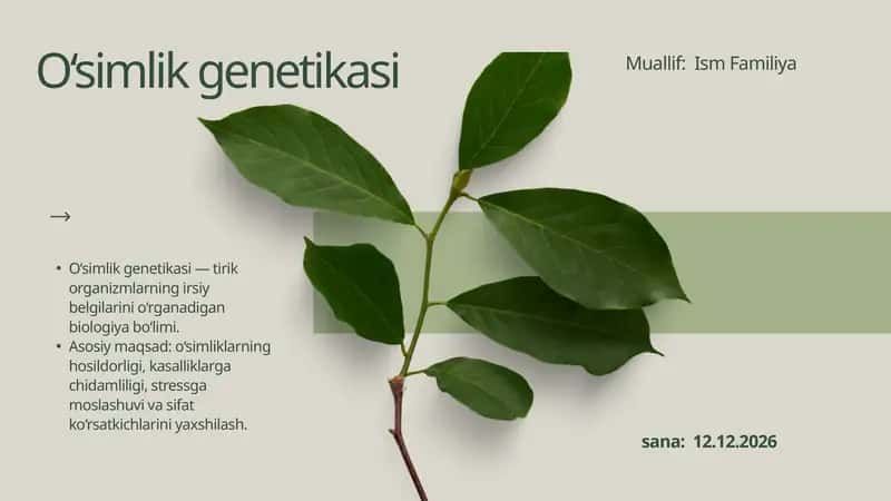 O'simlik Generatsiyasi