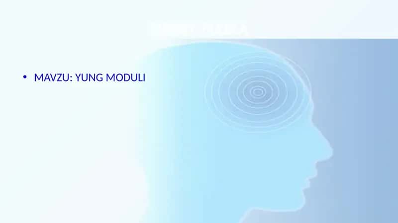 YUNG MODULI