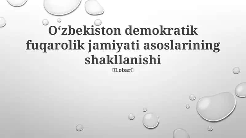 O'zbekiston demokratik fuqarolik jamiyati asoslarining shakllanishi