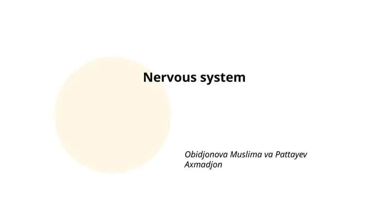 Nervous system