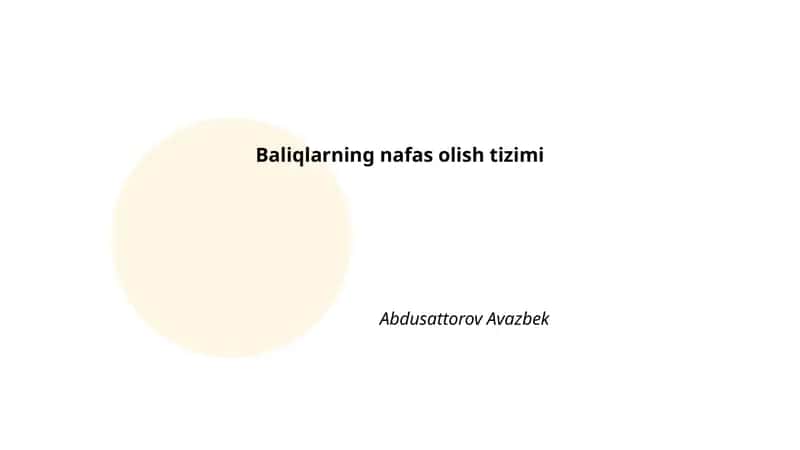 Baliqlarning nafas olish tizimi