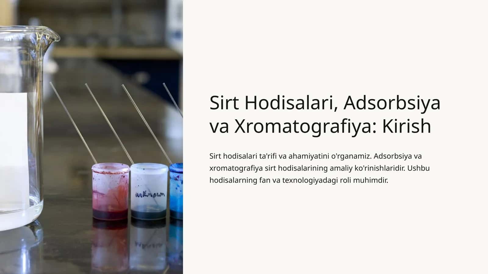 Sirt Hodisalari, Adsorbsiya va Xromatografiya: Kirish