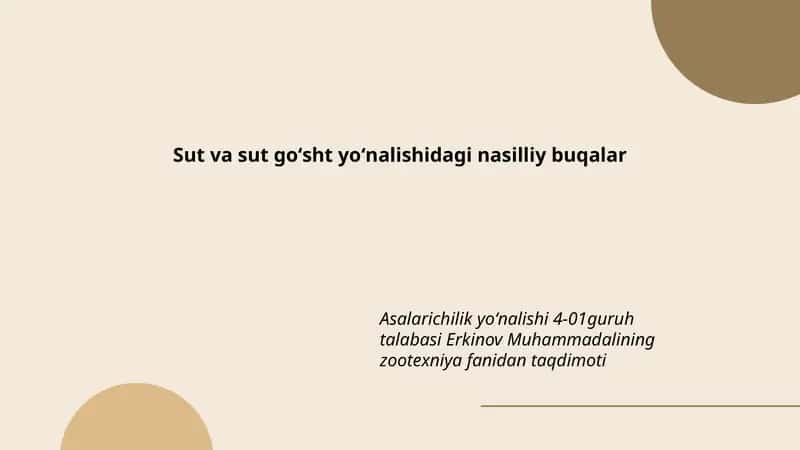 Sut va sut goʻsht yoʻnalishidagi nasilliy buqalar