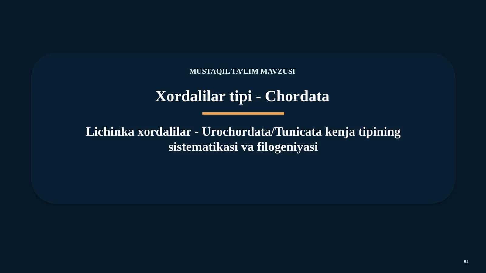 UROCHORDATA / TUNICATA