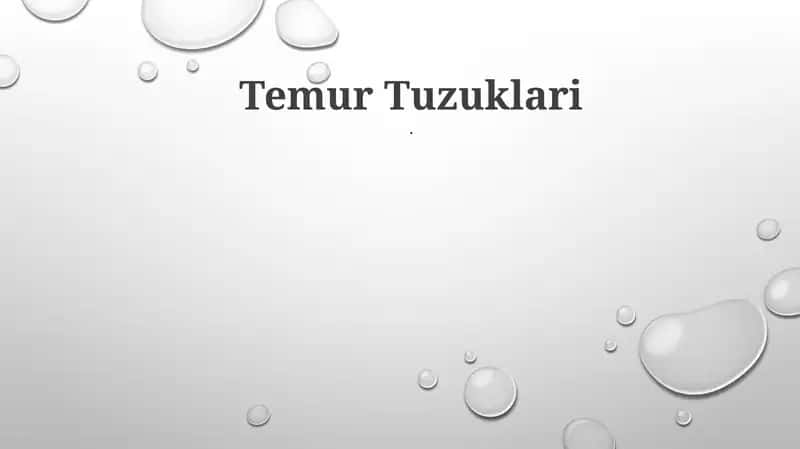 Temur Tuzuklari