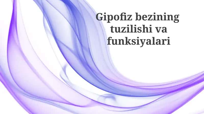Gipofizbezining tuzilishi va funksiyalari