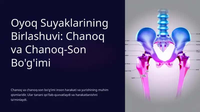 Chanoq va Chanoq-Son Bo'g'imi