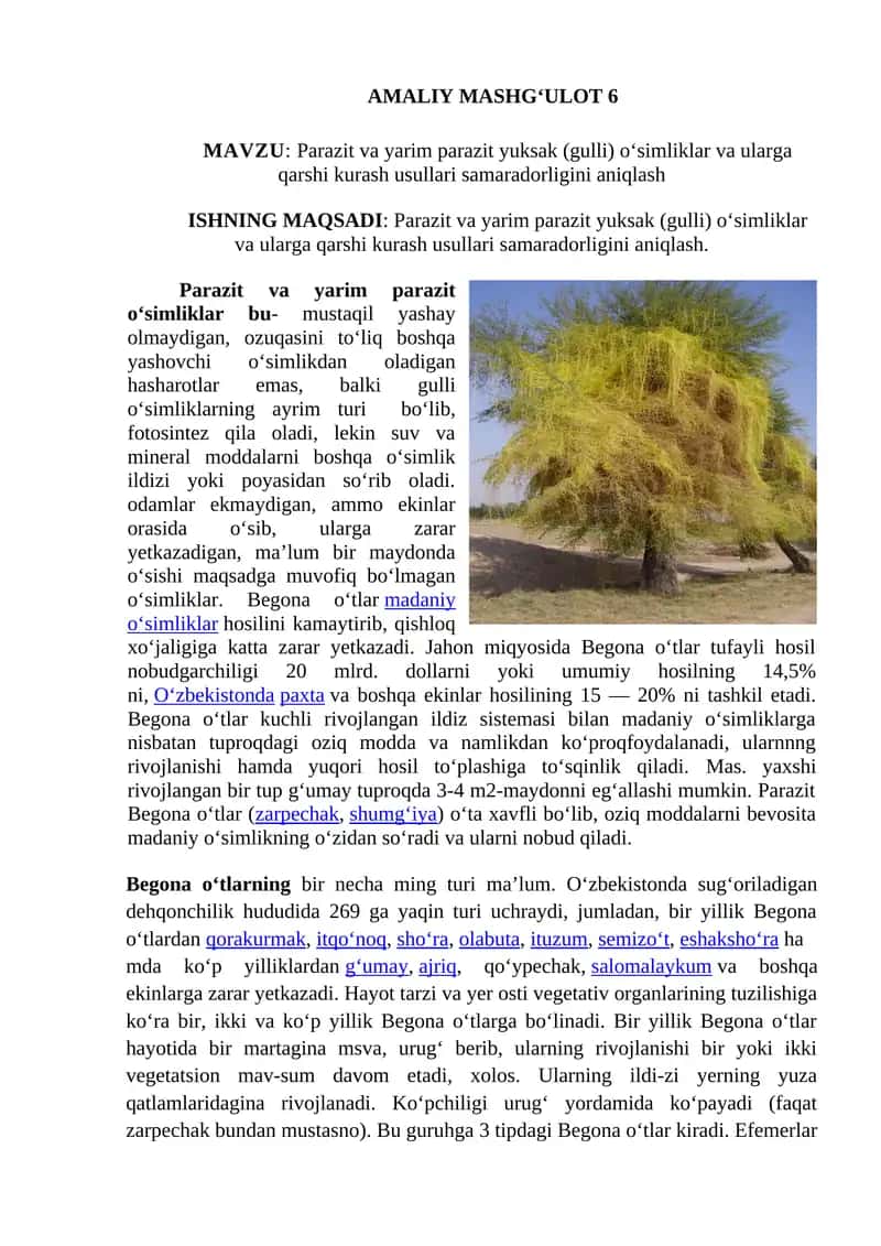 Parazit va yarim parazit yuksak (gulli) o‘simliklar va ularga qarshi kurash usullari samaradorligini aniqlash