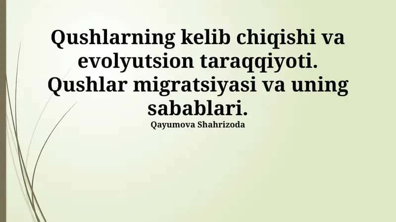 Qushlarning kelib chiqishi va evolyutsion taraqqiyoti