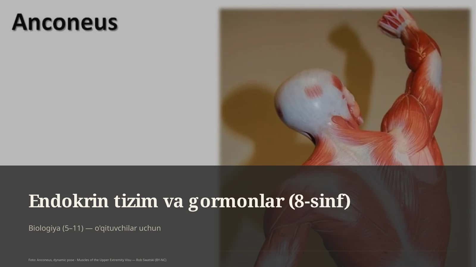 Endokrin tizim va gormonlar (8-sinf)