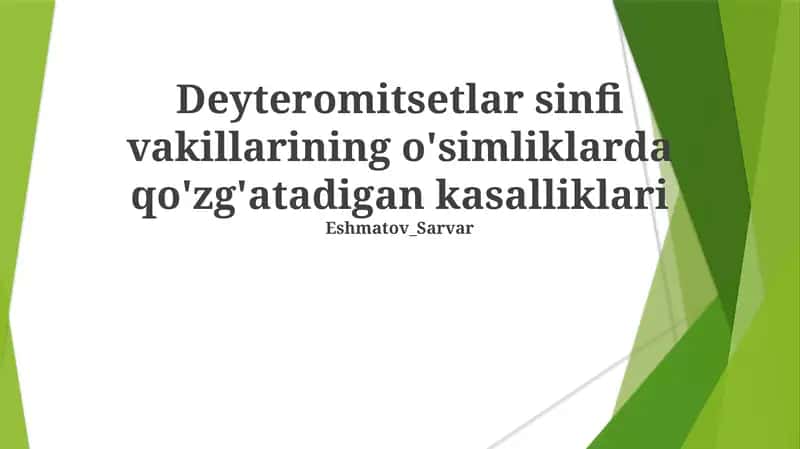 Deyteromitsetlar sinfi vakillarining o'simliklarda qo'zg'atadigan kasalliklari