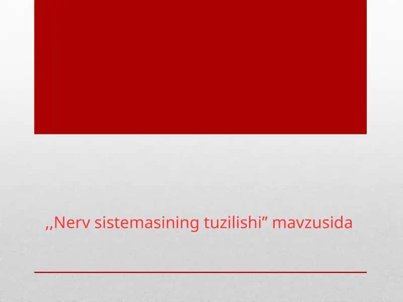 Nerv sistemasi