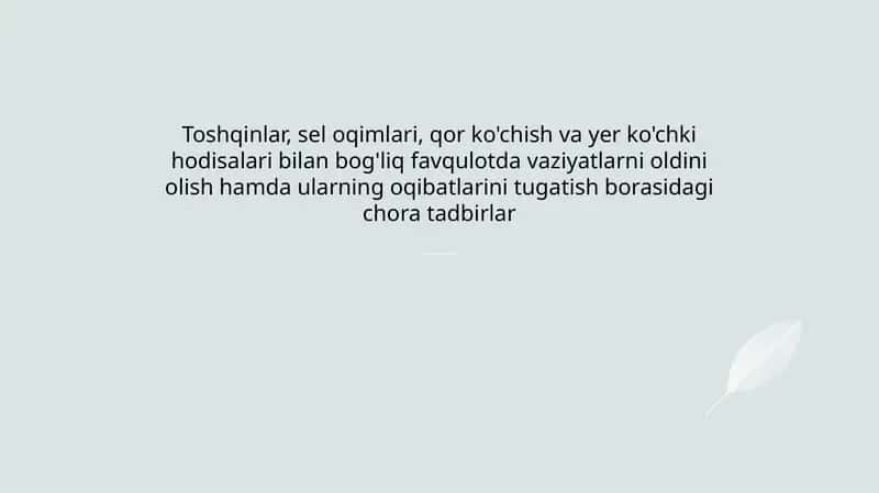 Toshqinlar, sel oqimlari, qor ko'chish va yer ko'chki hodisalari bilan bog'liq favqulotda vaziyatlarni oldini olish hamda ularning oqibatlarini tugatish borasidagi chora tadbirlar
